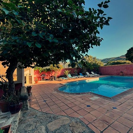 Residence Antonia Appartements Avec Piscine Commune - Centre Ville Calvi Calvi  Zewnętrze zdjęcie