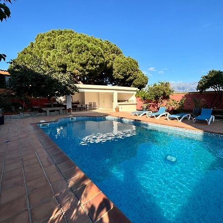 Residence Antonia Appartements Avec Piscine Commune - Centre Ville Calvi Calvi  Zewnętrze zdjęcie