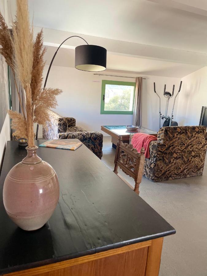 Residence Antonia Appartements Avec Piscine Commune - Centre Ville Calvi Calvi  Zewnętrze zdjęcie