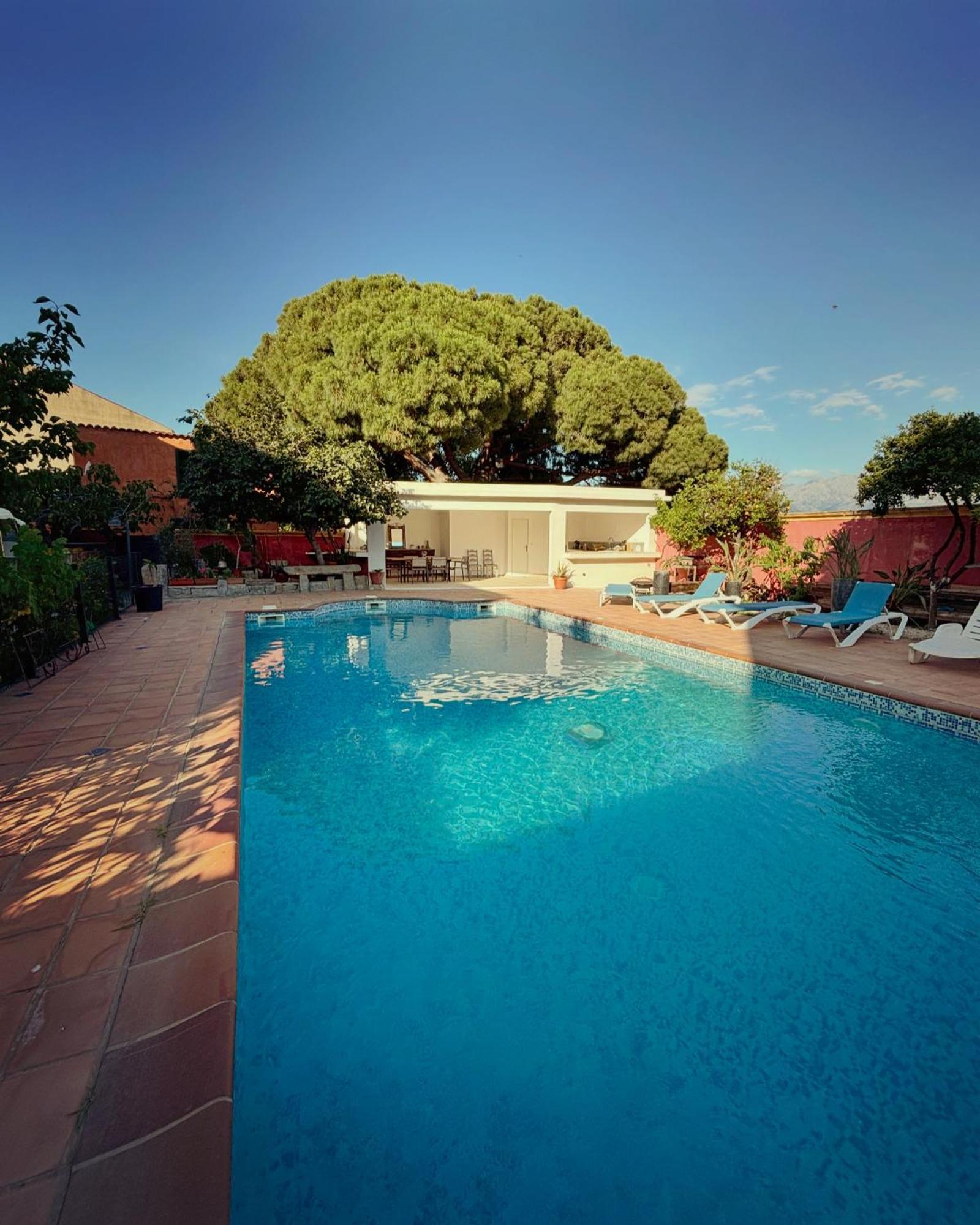 Residence Antonia Appartements Avec Piscine Commune - Centre Ville Calvi Calvi  Zewnętrze zdjęcie