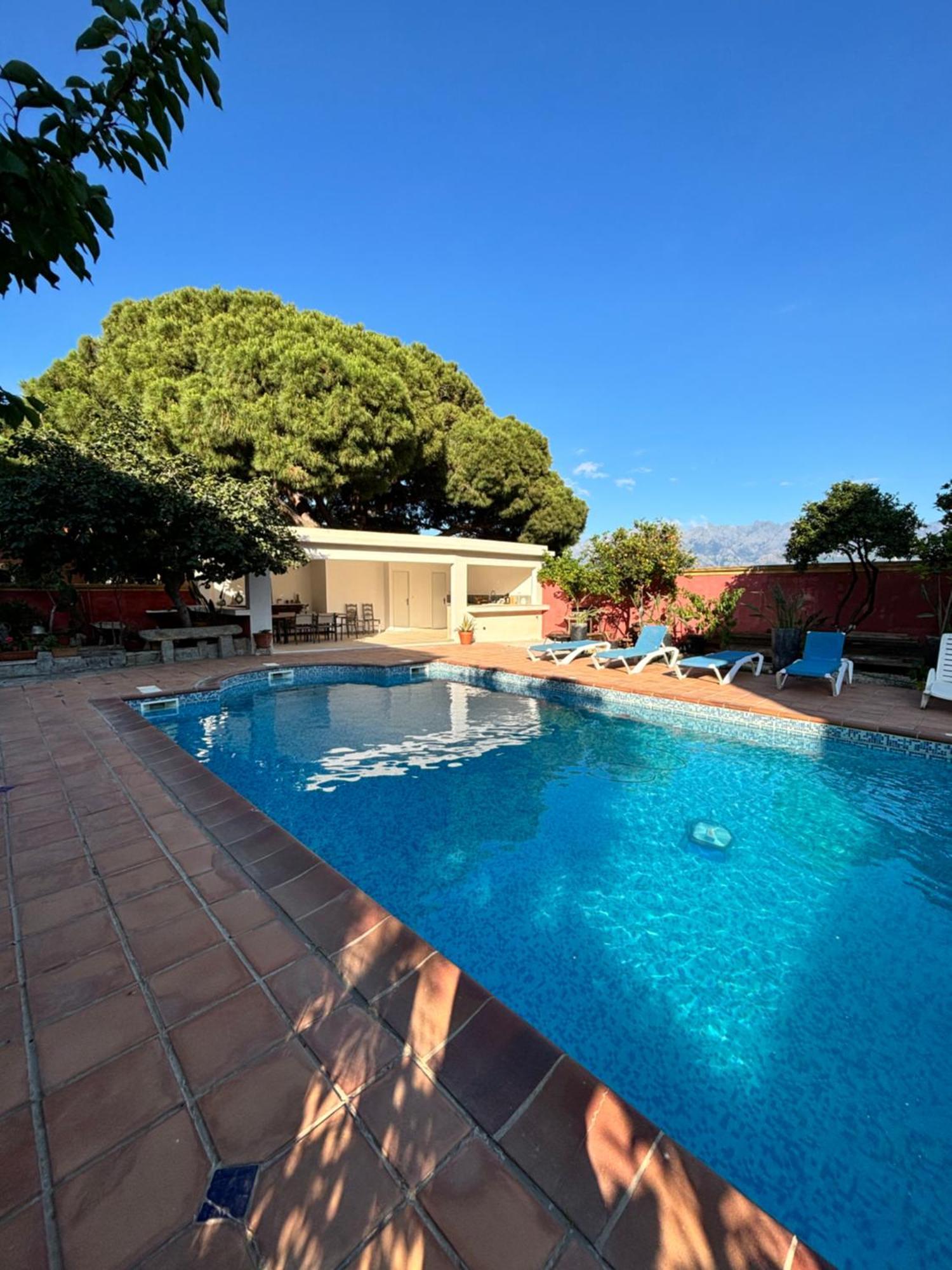 Residence Antonia Appartements Avec Piscine Commune - Centre Ville Calvi Calvi  Zewnętrze zdjęcie
