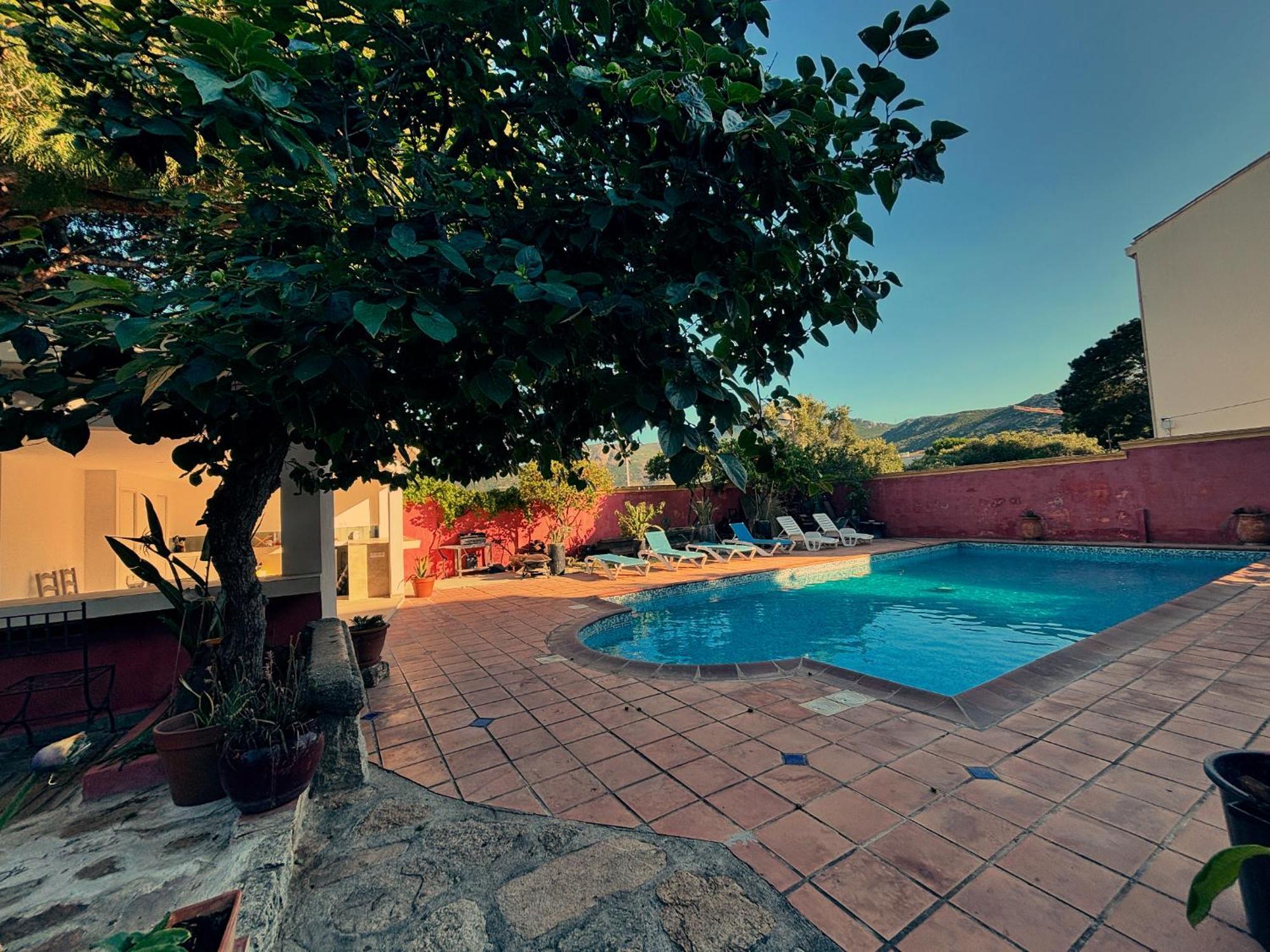 Residence Antonia Appartements Avec Piscine Commune - Centre Ville Calvi Calvi  Zewnętrze zdjęcie