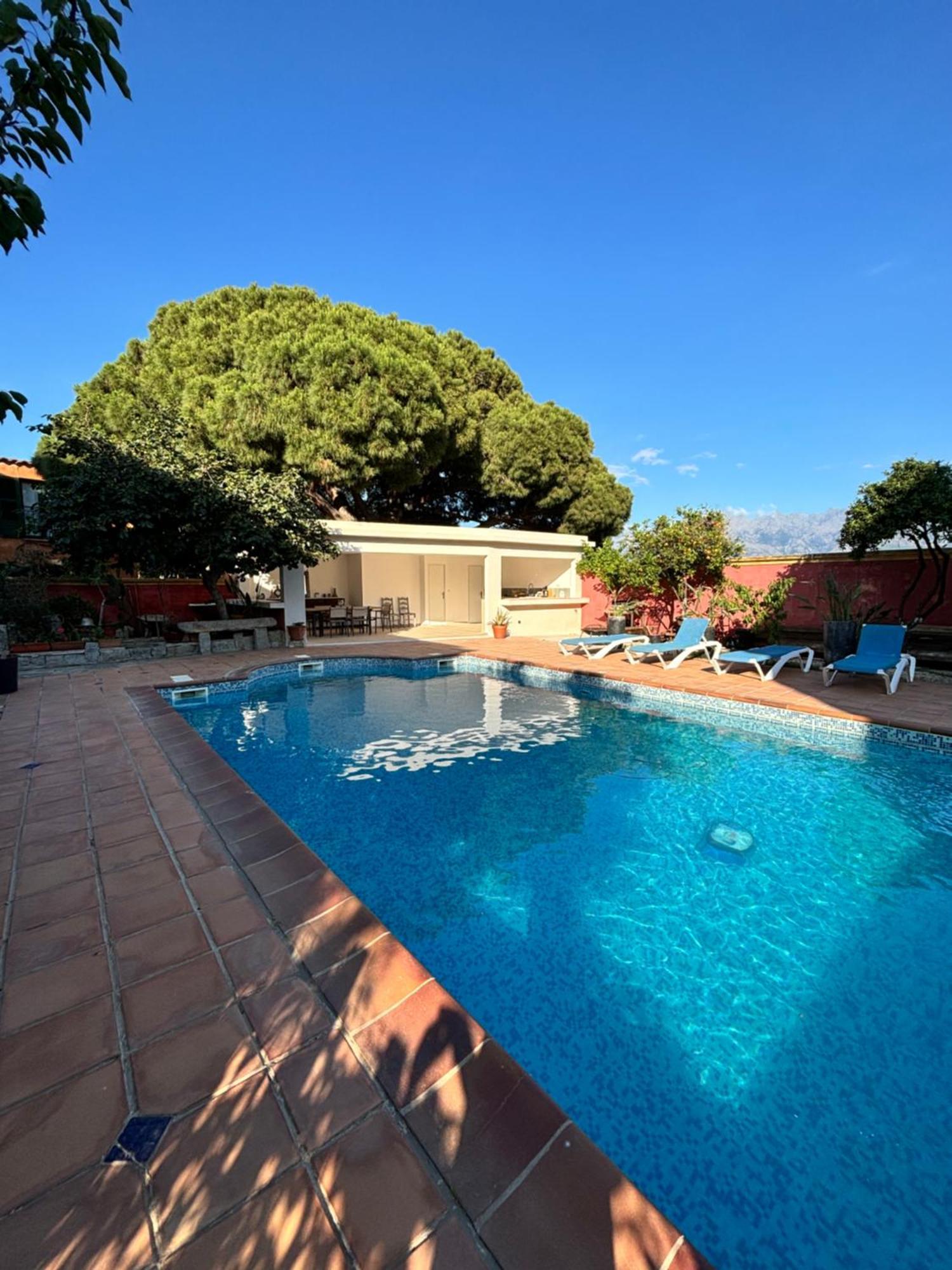 Residence Antonia Appartements Avec Piscine Commune - Centre Ville Calvi Calvi  Zewnętrze zdjęcie