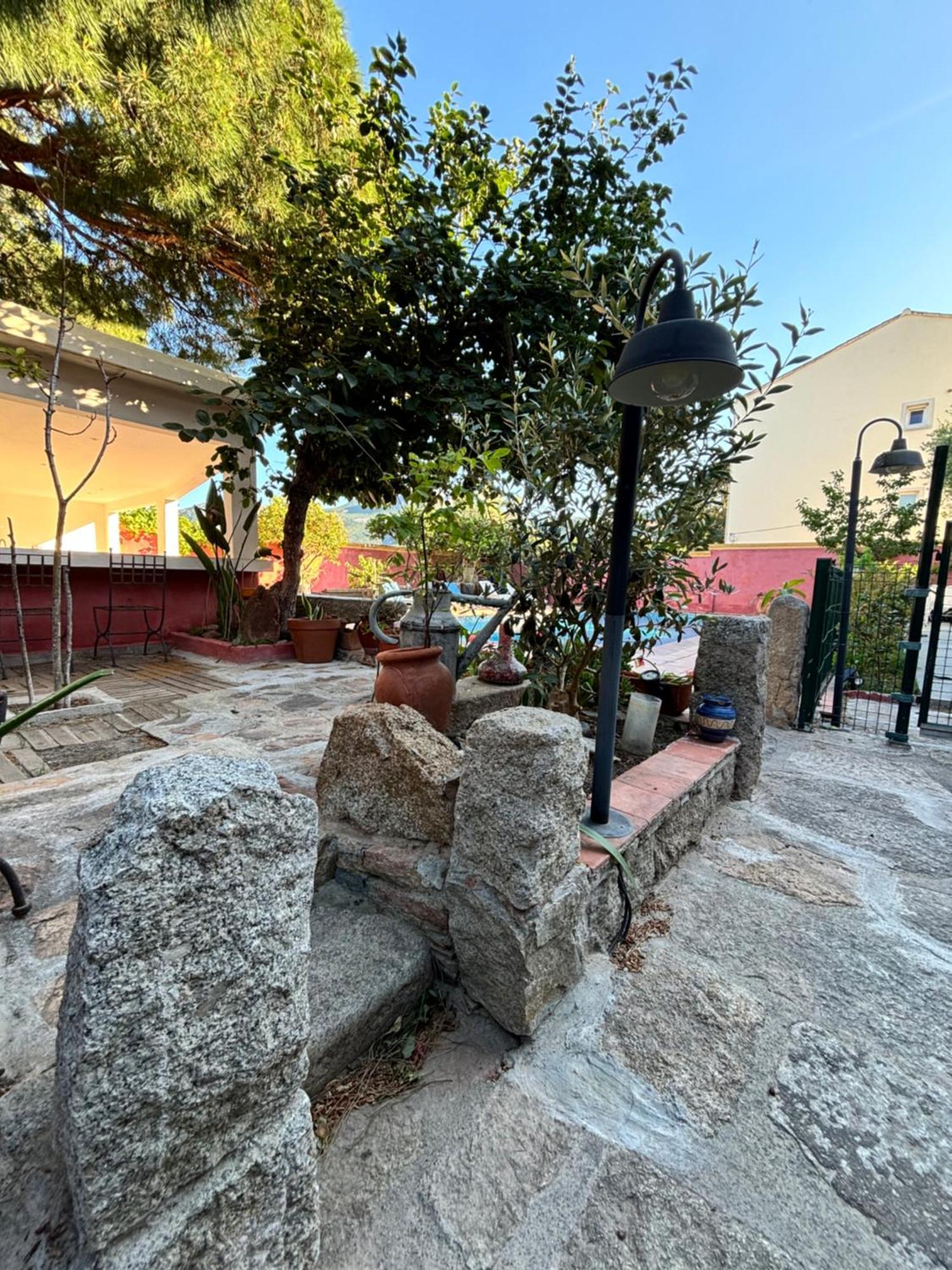 Residence Antonia Appartements Avec Piscine Commune - Centre Ville Calvi Calvi  Zewnętrze zdjęcie